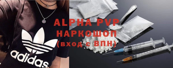 гидра Верхний Тагил
