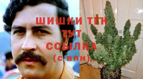 гидра Верхний Тагил