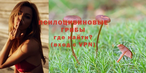 гидра Верхний Тагил