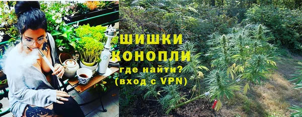 ПСИЛОЦИБИНОВЫЕ ГРИБЫ Бородино